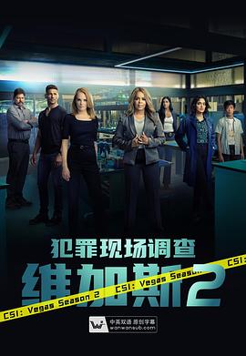 犯罪現場調查：維加斯第二季