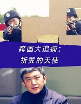 跨國大追捕：折翼的天使