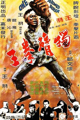 獨臂拳王1972[電影解說]