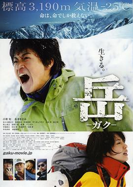 嶽：冰峰救援