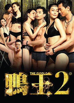 鴨王2：雞同鴨戀