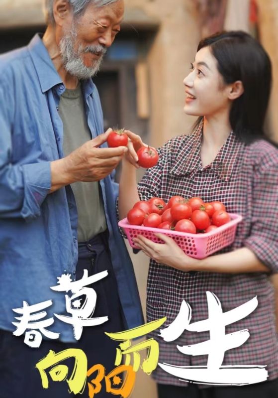春草向陽而生
